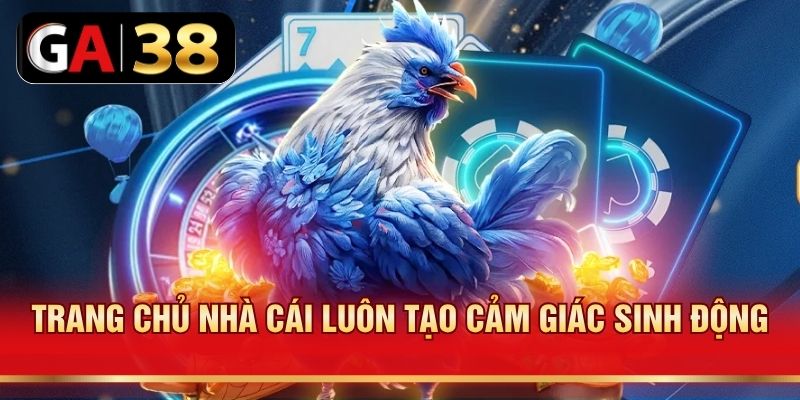 Trang chủ nhà cái luôn tạo cảm giác sinh động